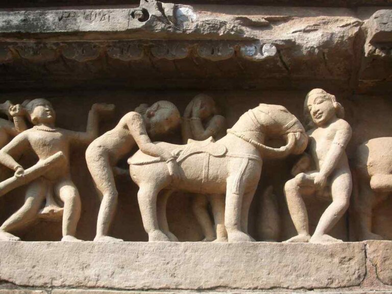 Zoofilia, czyli pociąg seksualny do zwierząt zoofilia